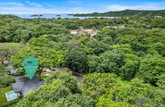 6bba6c33 2e7a 406e bf85 9b2f5a84fbd6.jpg