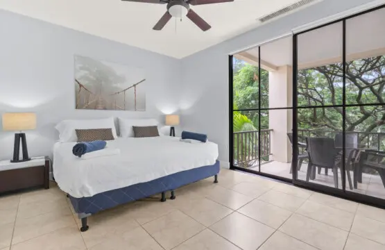 6c353095 e8eb 43b8 a459 d6f802bd30a7.jpg