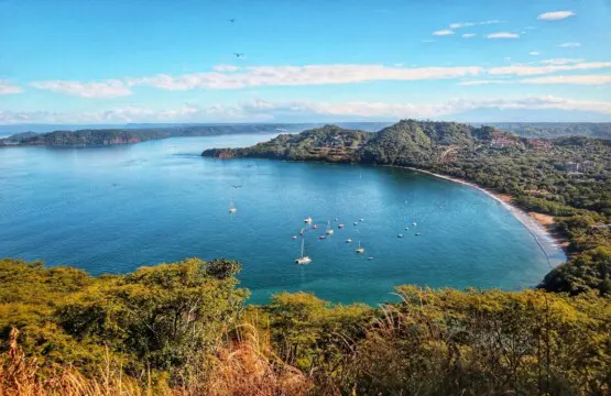 6c40e3b7 9100 4aab 8b76 01e6da498e7f.jpg