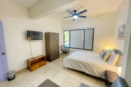 6eccd2fa a958 4476 a73a 2f60009dbf81.jpg