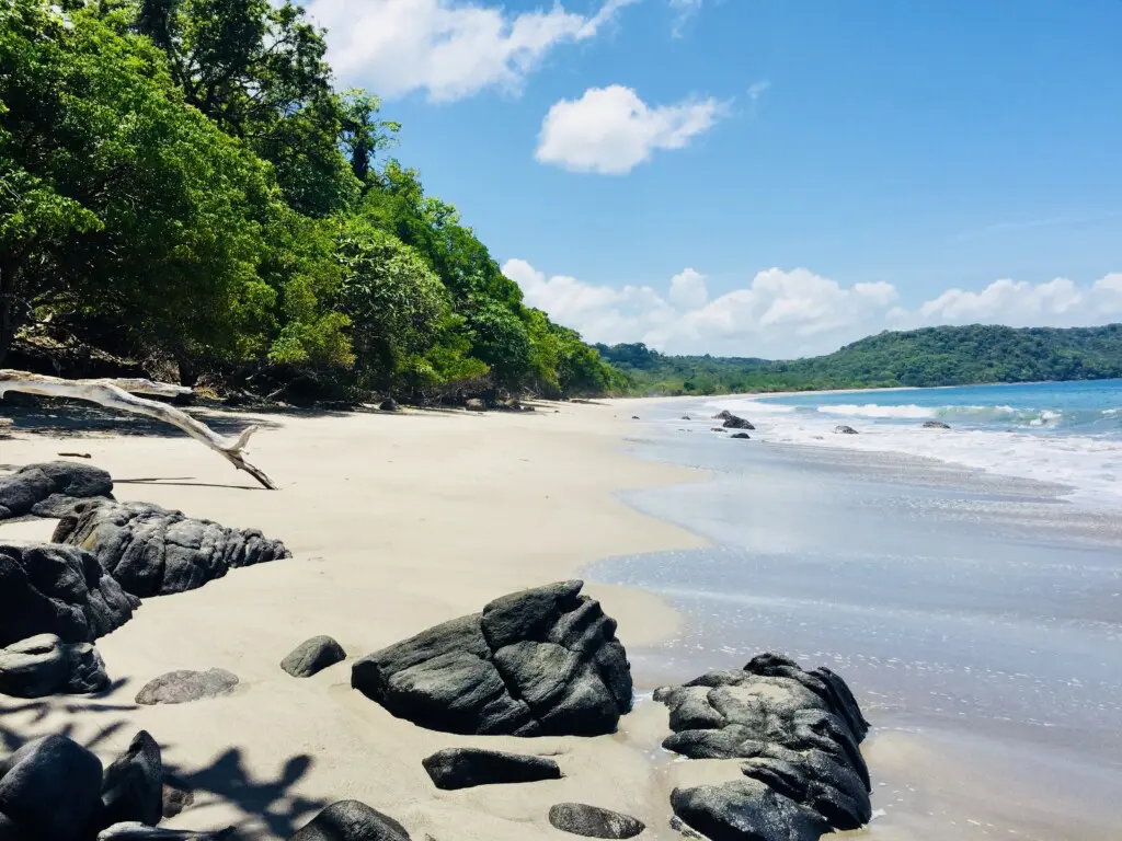 710a3fb9 142a 4e06 9d38 6ffa85485511.jpg