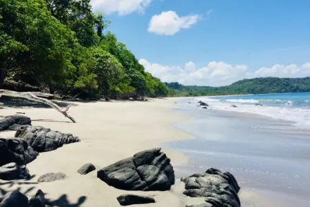 710a3fb9 142a 4e06 9d38 6ffa85485511.jpg