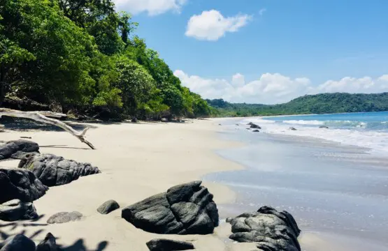 710a3fb9 142a 4e06 9d38 6ffa85485511.jpg