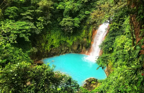 745e1047 6919 41a6 8ca6 b40f1a03c28a.jpg