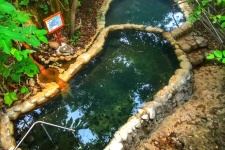 75d382e7 9b2c 4eaf b4a9 c80c164336d1.jpg