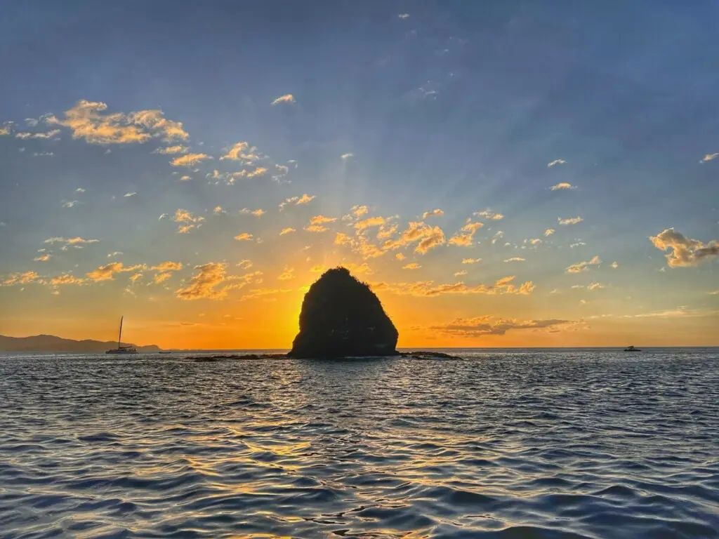 768a56f4 79ef 4a9b 82f3 8c3c65dfa98c.jpg