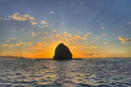 768a56f4 79ef 4a9b 82f3 8c3c65dfa98c.jpg