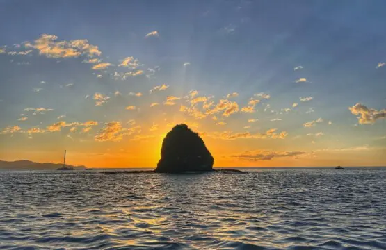 768a56f4 79ef 4a9b 82f3 8c3c65dfa98c.jpg