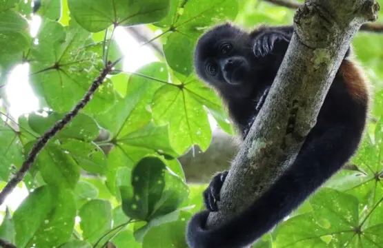 76da7e5e f67d 43f4 90f8 86c1f2b0e38f.jpg