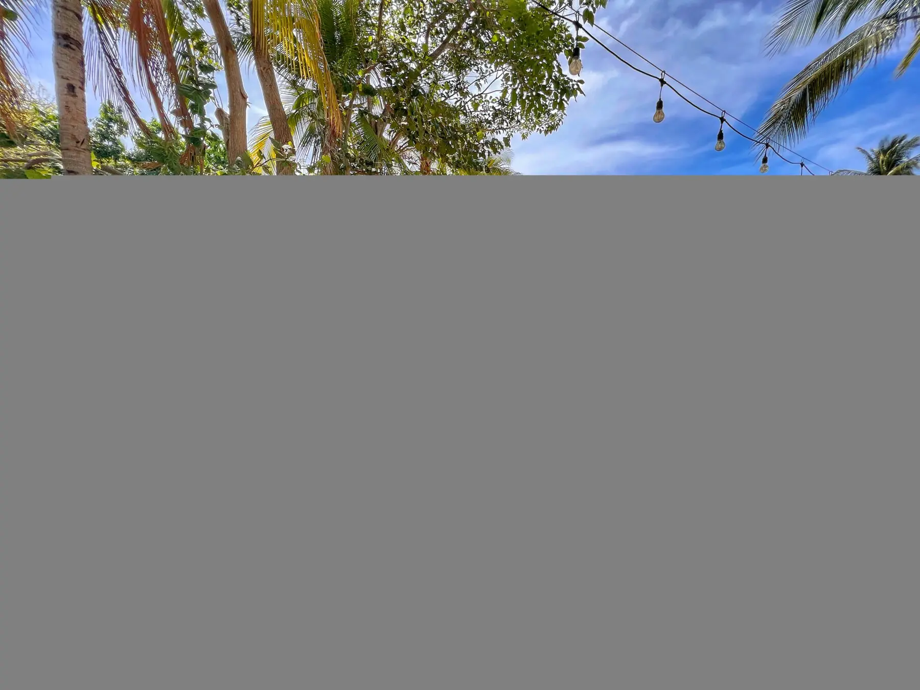 791d4217 e6c0 486a 88bc 612c1e2720bf.jpg