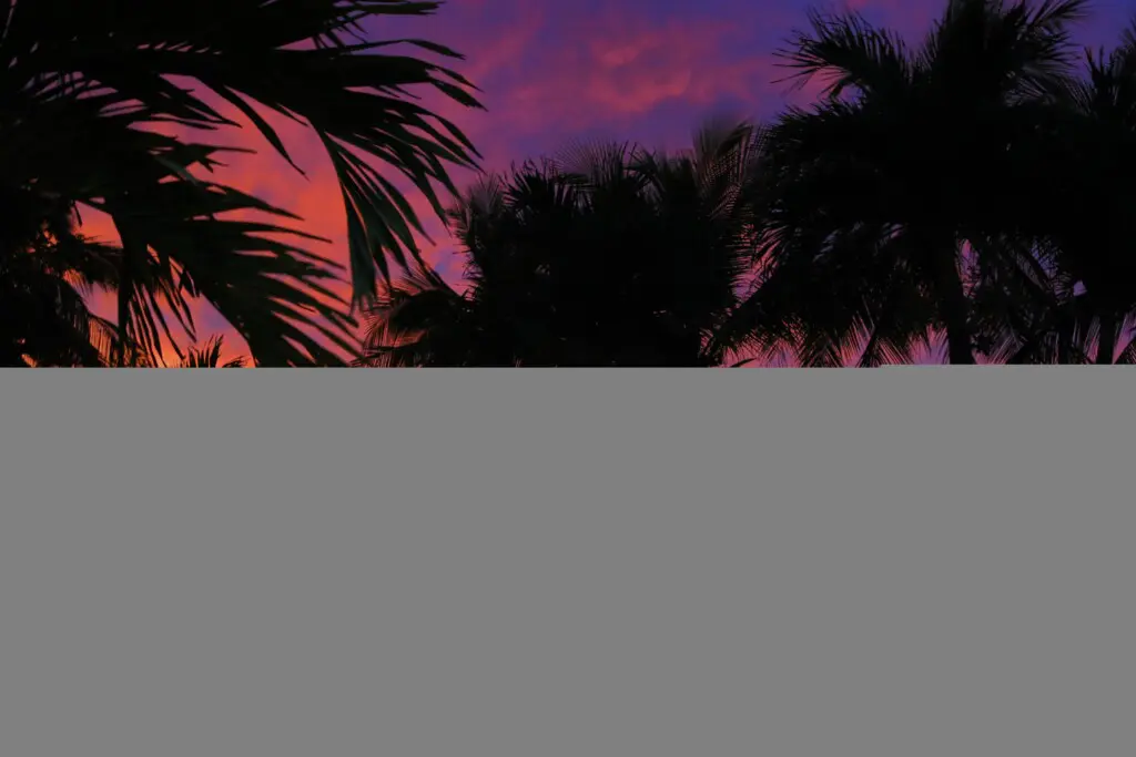 7c15cbe7 c321 47c4 a0ac 5cf6ab9e2d57.jpg