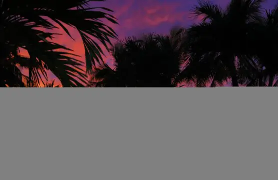 7c15cbe7 c321 47c4 a0ac 5cf6ab9e2d57.jpg