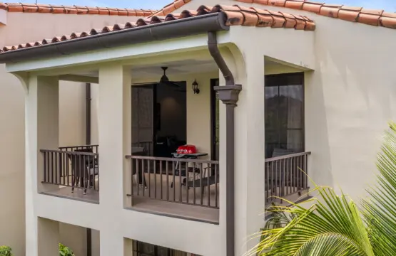 7d540231 d570 4946 a425 789af72f8b0e.jpg