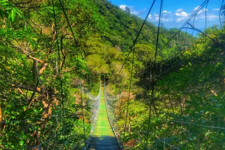 81286a08 9301 4767 ad68 61c9e812d0cb.jpg