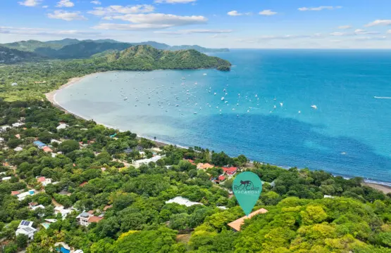 831556c1 70f5 4285 834e d8816a27b7e8.jpg