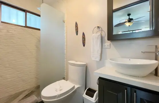 85a91b70 b240 4a5c ae83 cd16d150d62f.jpg