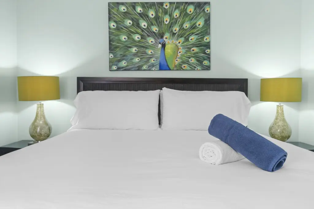 8650329c e15f 43e7 8bc3 2ea0f8cab69e.jpg