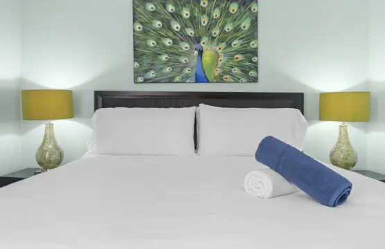 8650329c e15f 43e7 8bc3 2ea0f8cab69e.jpg