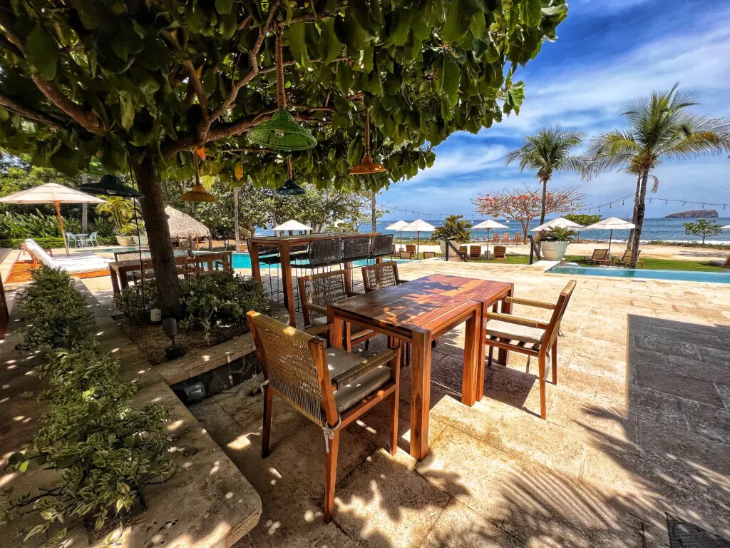 8813a097 7ecb 45f2 be45 7b5d3f915ff5.jpg