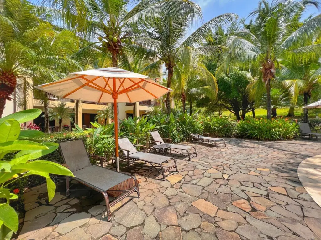 88226bfc 83e2 47ae 9d3f cbbf6c2b2d35.jpg