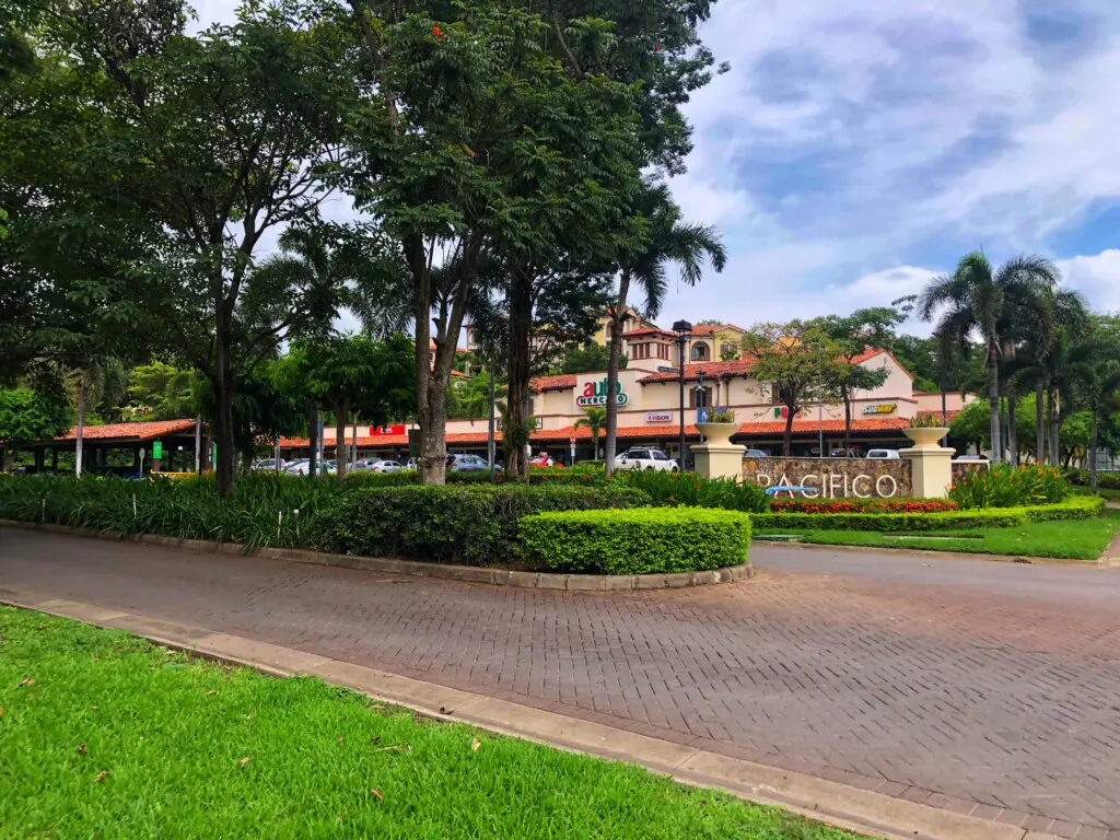 8b706b23 45d2 4c09 bd33 fe97b407e8e0.jpg