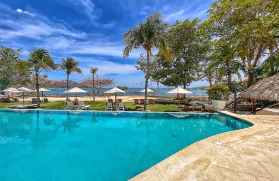 8f3775a3 dadb 43a5 bef1 cf6bf2e40e9f.jpg