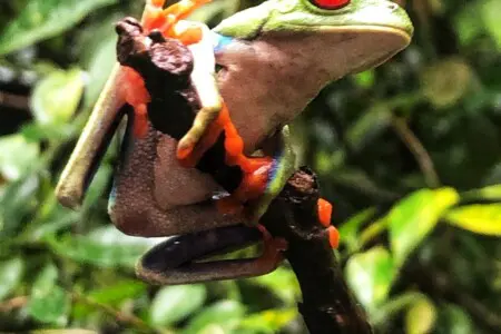 8f4ddfc8 3ec2 4168 8ee6 27225b780b55.jpg