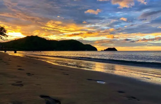 915c98c6 2930 4948 b0ed 5b658ae1b5d1.jpg