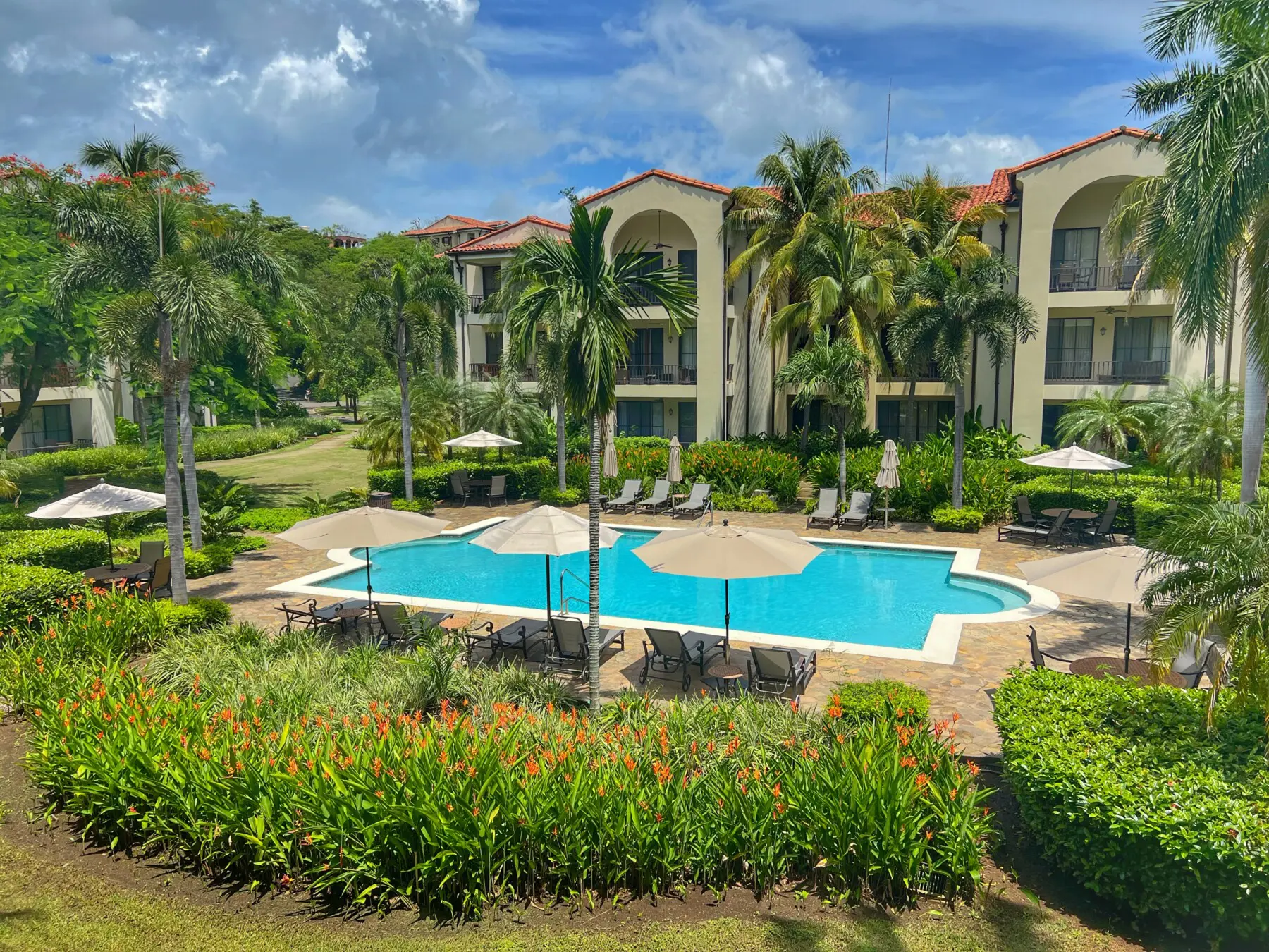 92962e16 2ce8 4708 9e1f 3b181d7e7c6d.jpg