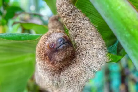 92add4c9 4205 4ede a7a9 b83bd531928b.jpg