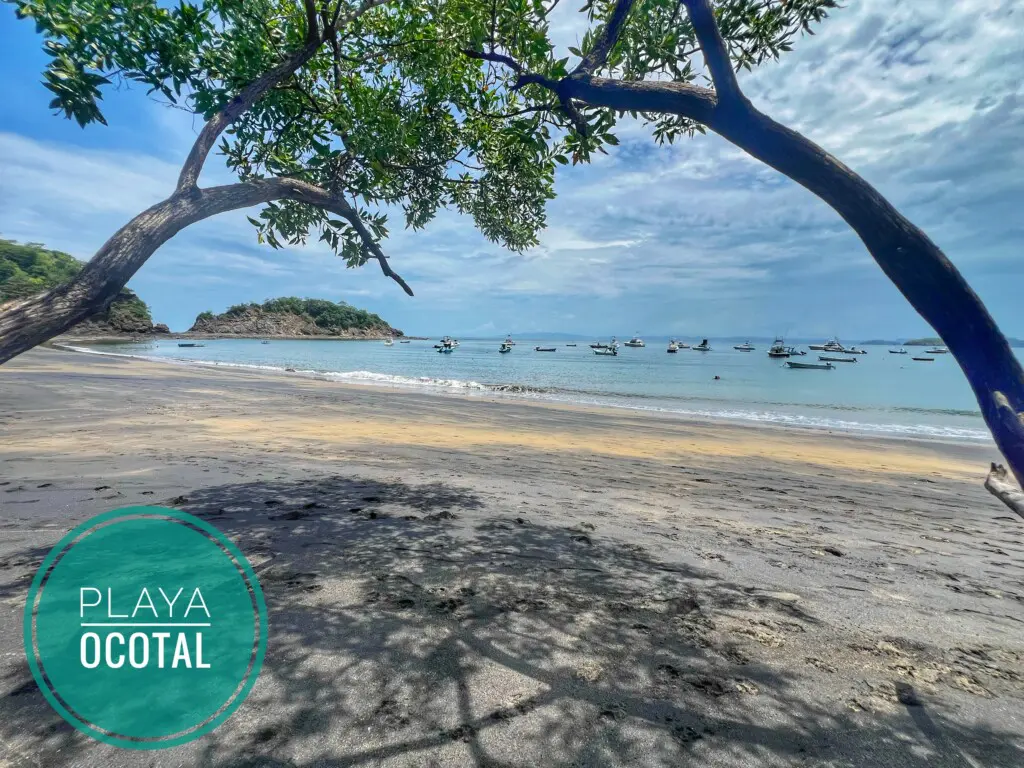 9379281b a3e5 4955 ab1f 335e810a1c61.jpg