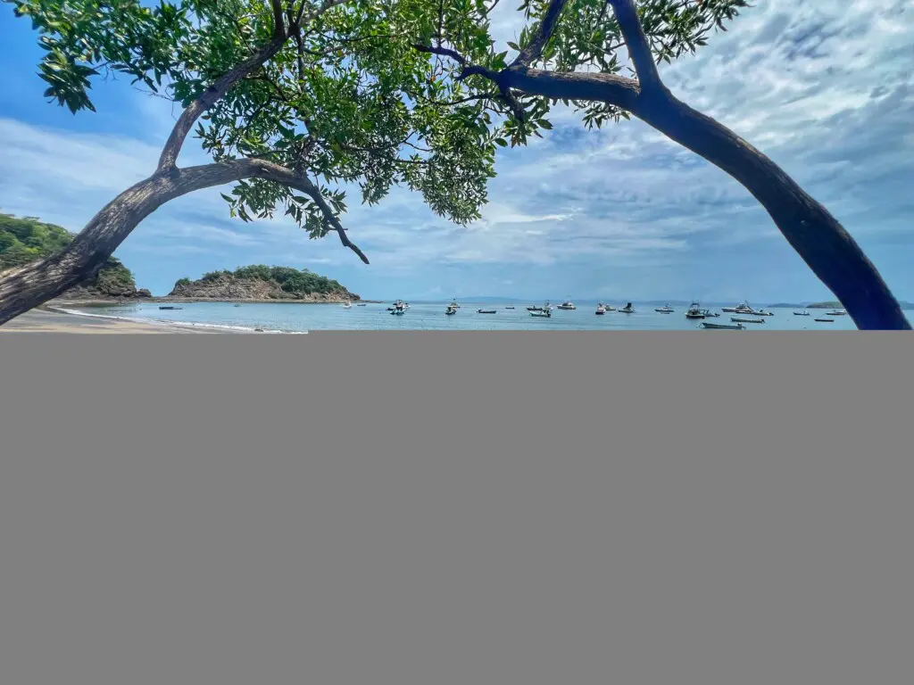 937aeb87 1694 4487 8786 13d026619091.jpg