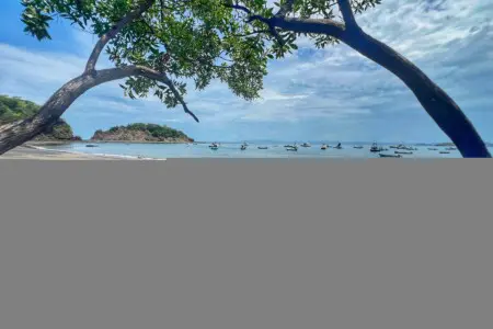 937aeb87 1694 4487 8786 13d026619091.jpg