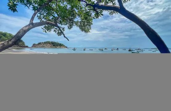 937aeb87 1694 4487 8786 13d026619091.jpg