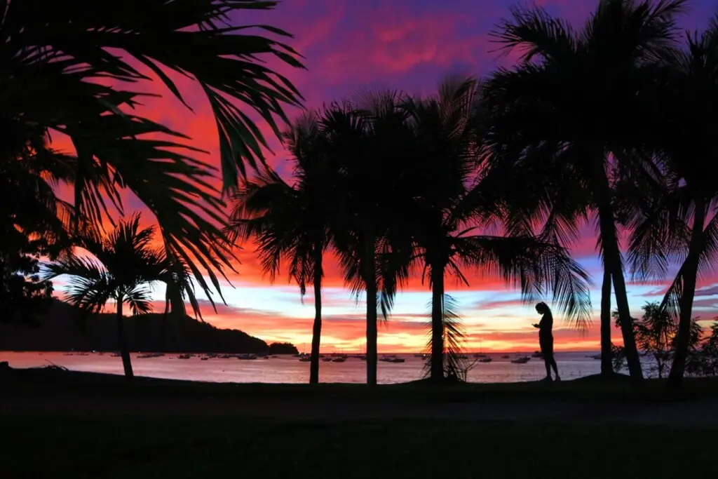 9424445a ee0f 4405 9c3c 548c11b7e03f.jpg