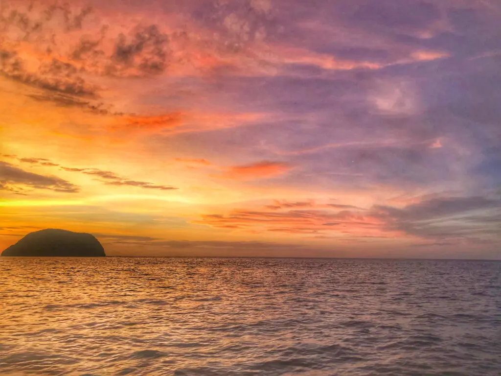 94a1ef16 1c1e 455e 9f29 5b93e5ac390a.jpg