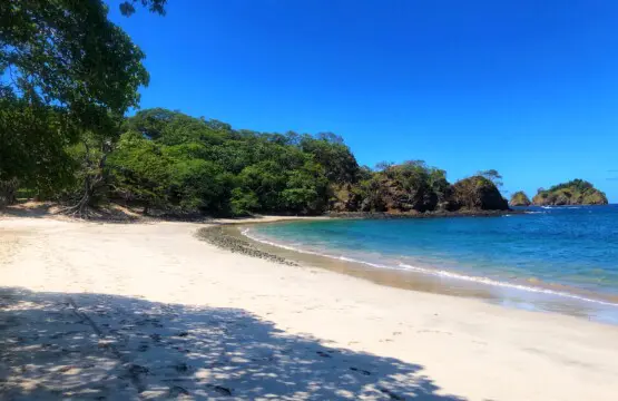 95e4f337 e13f 4c2e 986d d1bf0f8af4d5.jpg