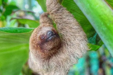 980b76ff 95ce 4dde 96b0 171748cc002c.jpg