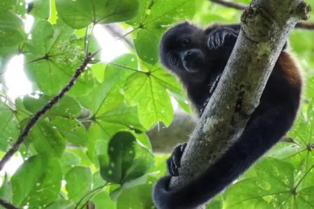 9a05f55e 1b65 4056 9439 b66e9c4ad774.jpg