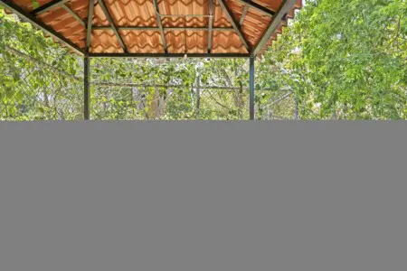 9b087253 e911 45c7 a8c1 0e8c412503cf.jpg