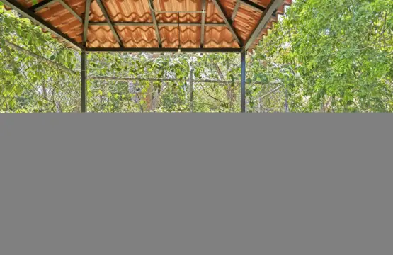 9b087253 e911 45c7 a8c1 0e8c412503cf.jpg