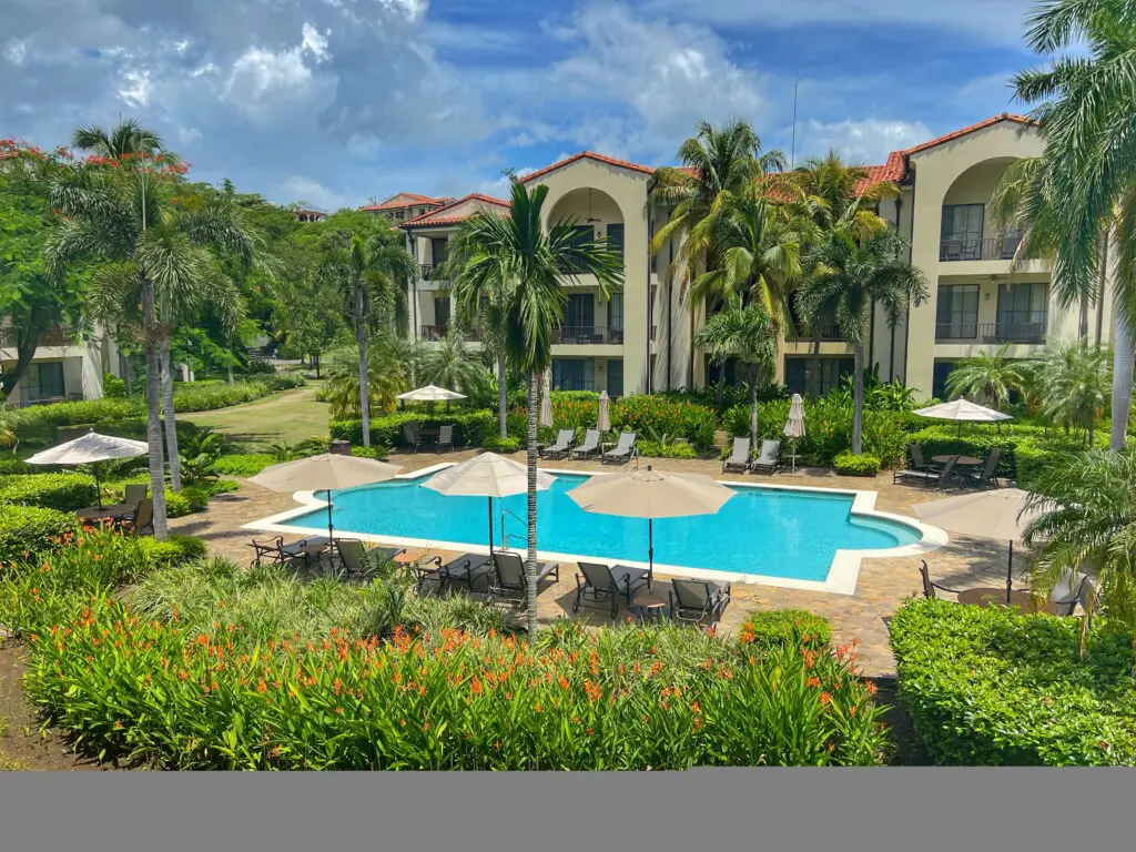 9eea3903 5df3 4671 81cf 9d1f5c914d8e.jpg