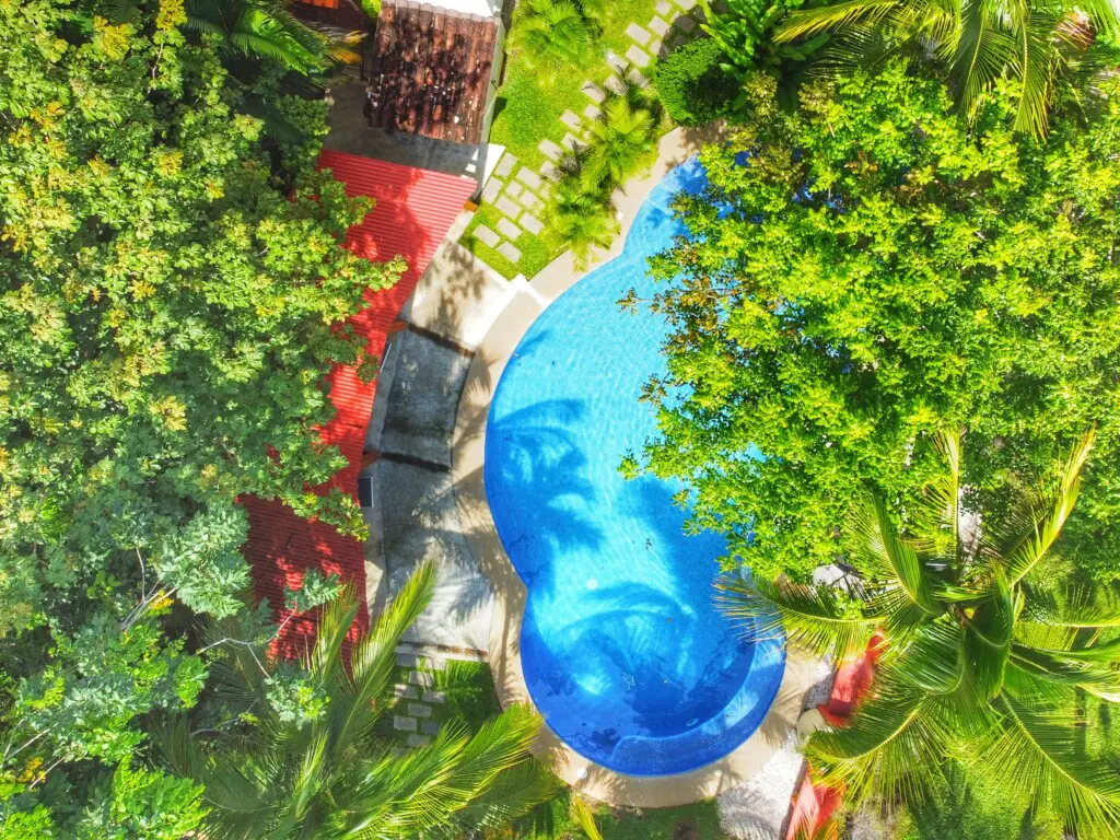 a00c53cd a8c2 4e6f 82cf 5392f7127b45.jpg