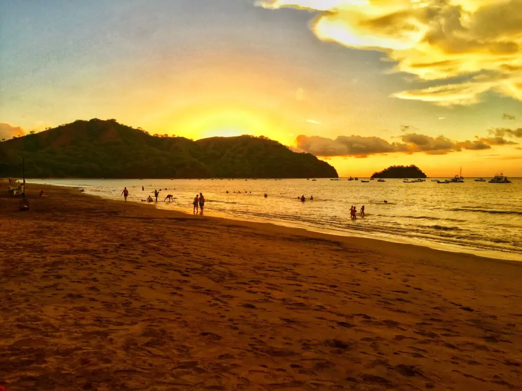 a2115c06 6626 46e3 a0e1 35f623f6cf0b.jpg