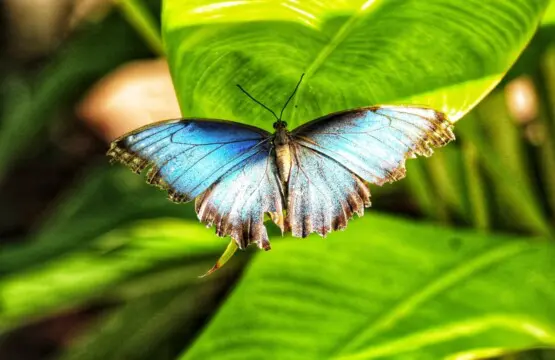 a314c6b0 e382 4c0e b97f efac853da1f1.jpg