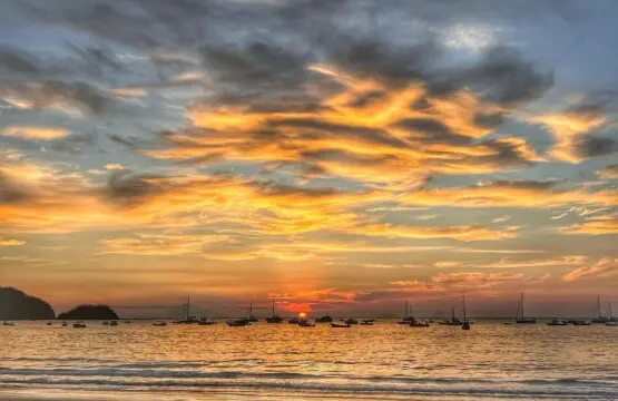 a33dfa4d 117a 4679 9ad1 3202826be354.jpg