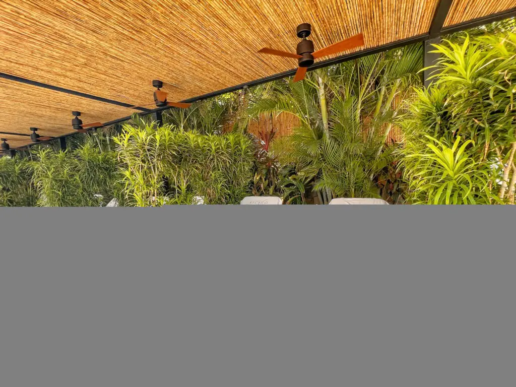 a3cc7d27 f204 449c 903b 87fe1529940d.jpg