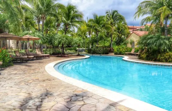 a4321b5e c841 4593 8da7 f180f0179d1f.jpg