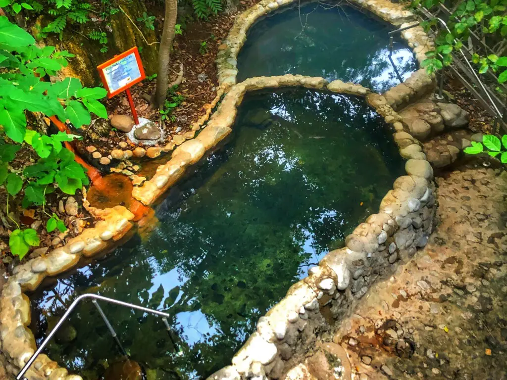 a71162dd 910c 4f75 9912 c28f4ae1be93.jpg