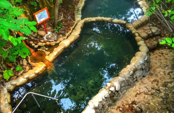 a71162dd 910c 4f75 9912 c28f4ae1be93.jpg